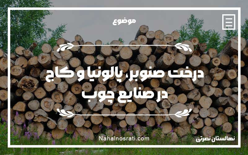 درخت صنوبر، پالونیا و کاج در صنایع چوب