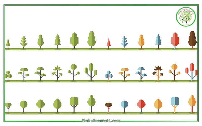فاصله کاشت انواع درختان